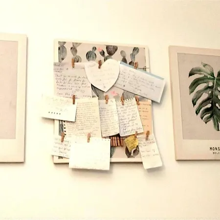 City Apartment شقة *